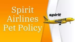Latest Updates on Spirit Airlines Pet Policy