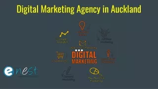 digital marketing agency i n auckland