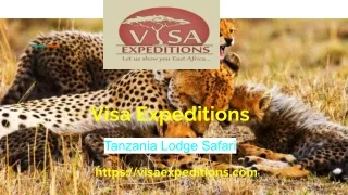 Honeymoon safari packages in Tanzania