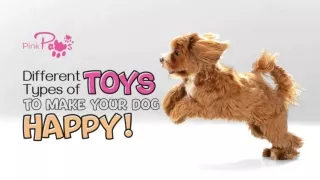 Different Types of Toys to Make Your Dog Happy!