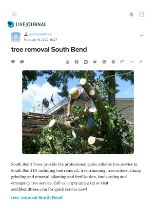tree removal South Bend