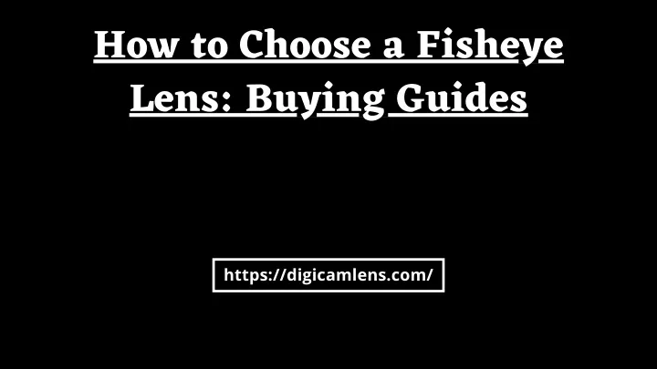 how to choose a fisheye lens buying guides
