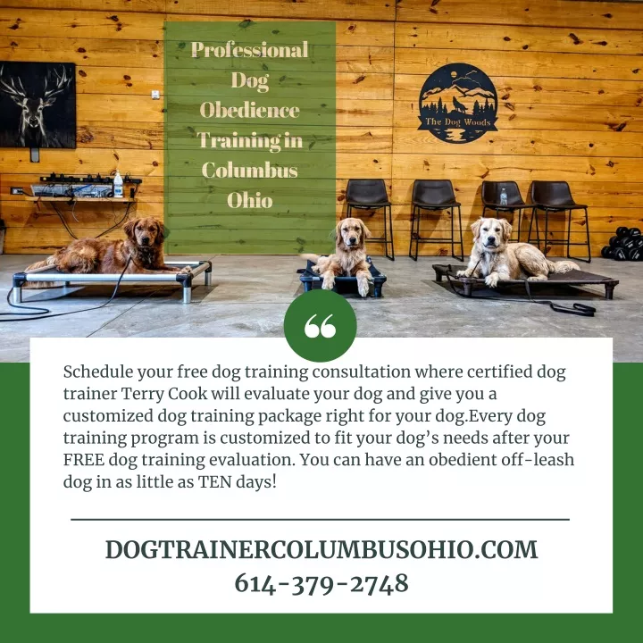 professional dog obedience training in columbus