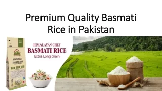 Premium Quality Basmati Rice in Pakistan