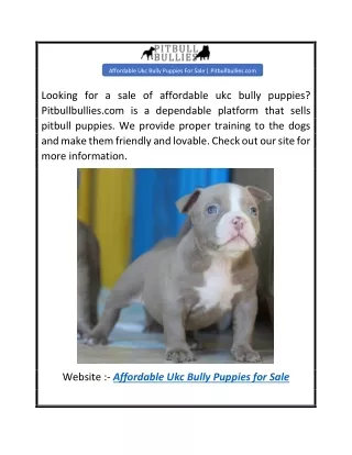 Affordable Ukc Bully Puppies For Sale  Pitbullbullies.com