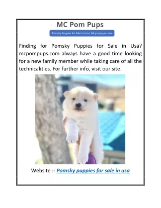 Pomsky Puppies for Sale in Usa  Mcpompups.com