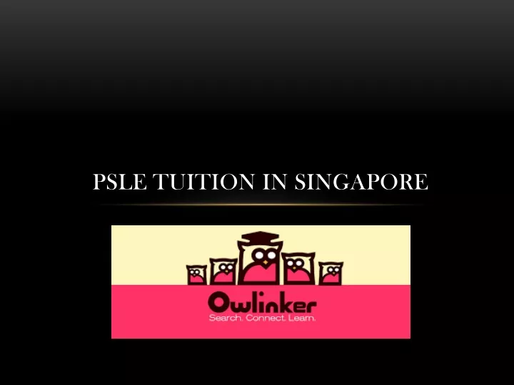psle tuition in singapore