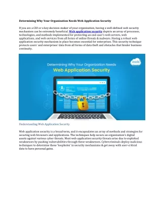 Determining Why Your Organization Needs Web Application Security