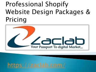 Professional Shopify Website Design Packages & Pricing