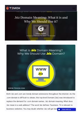 biz domain meaning what it is and why we should