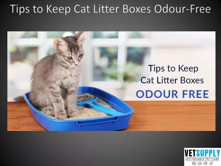 tips to keep cat litter boxes odour free