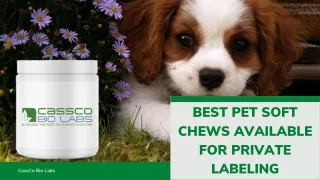 BEST PET SOFT CHEWS AVAILABLE FOR PRIVATE LABELING