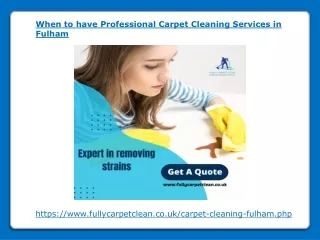 when to have professional carpet cleaning