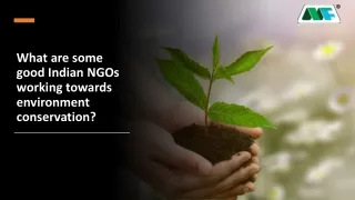what are some good indian ngos working towards environment conservation