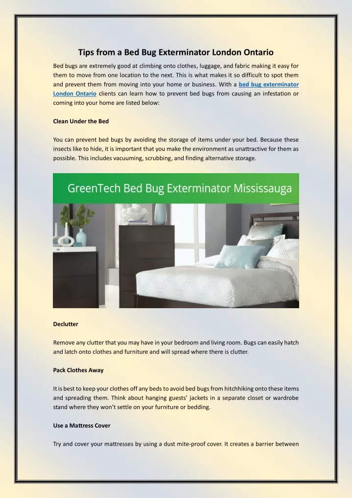 tips from a bed bug exterminator london ontario