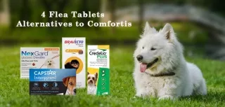Comfortis for Dogs Alternatives