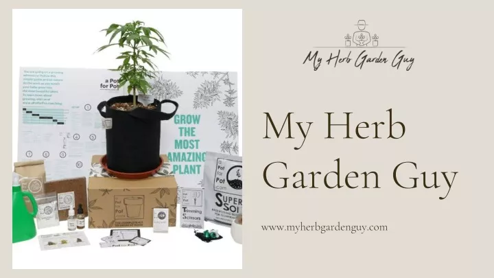 my herb garden guy