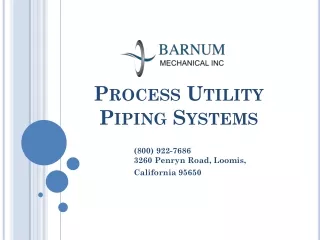 process utility piping systems