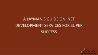 a layman s guide on net development services for super success