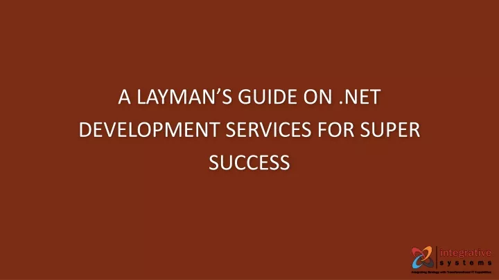 a layman s guide on net development services for super success