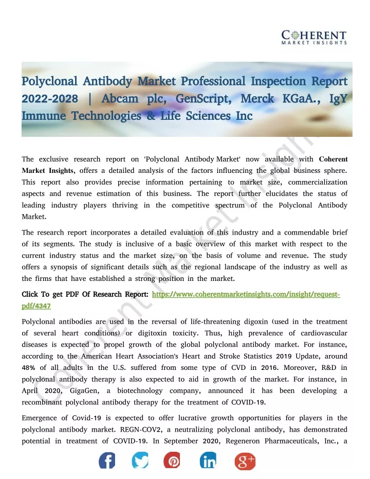 polyclonal antibody market professional