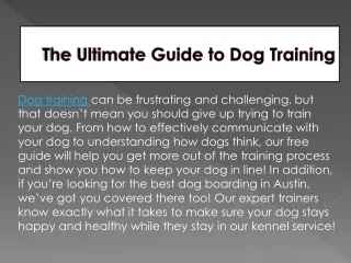 The Ultimate Guide to Dog Training