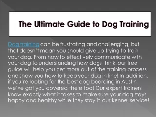 The Ultimate Guide to Dog Training