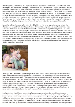 Jenna Dewan Tatum Bonds With unicorn Everly At Farmers Market - Giant Stuffed Un