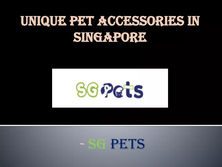 unique pet accessories in singapore