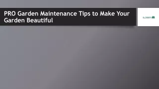 PRO Garden Maintenance Tips to Make Your Garden Beautiful