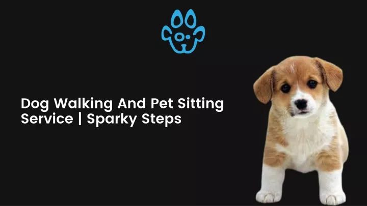 dog walking and pet sitting service sparky steps