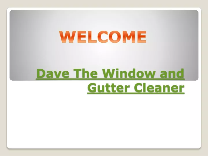 dave the window and gutter cleaner