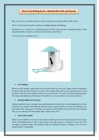how to go birding by ear identify bird calls