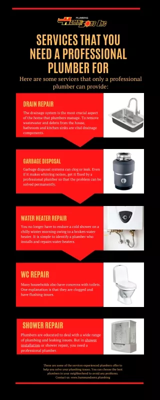 services that you need a professional plumber