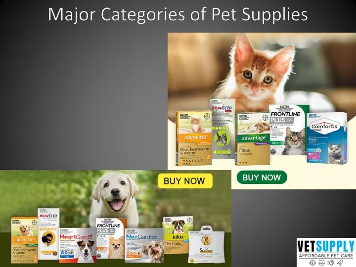 major categories of pet supplies