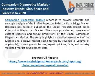 Companion Diagnostics Market To 2028: Industry Size, Growth, Share, Development,
