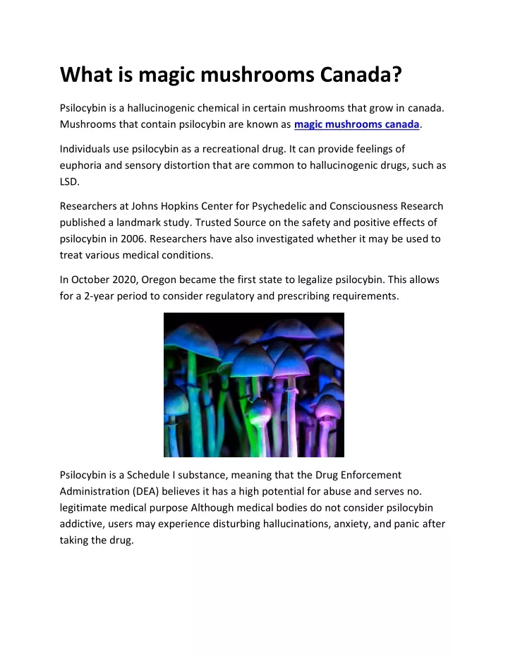 what is magic mushrooms canada
