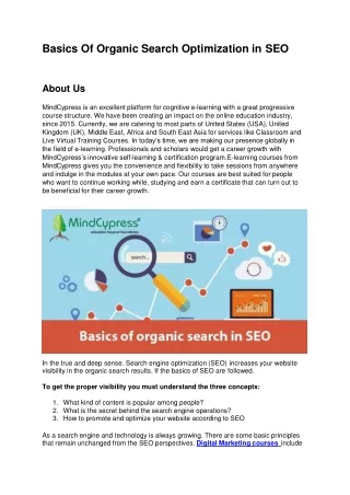 basics of organic search optimization