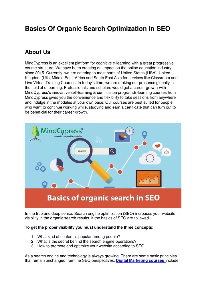 basics of organic search optimization