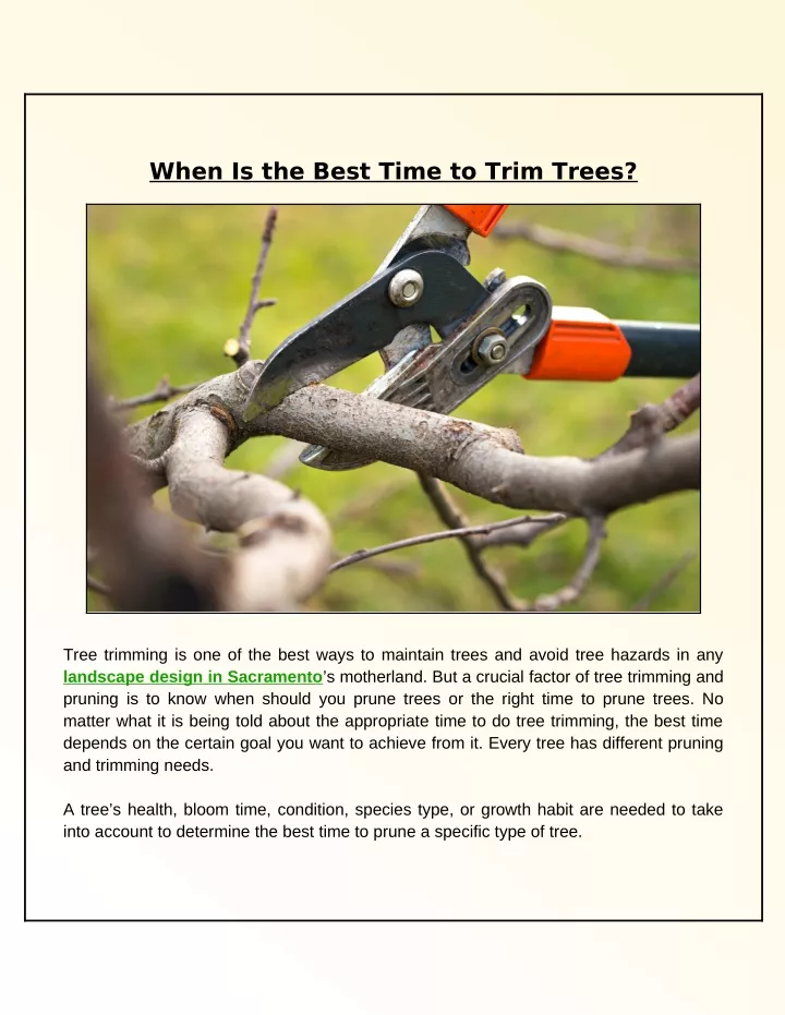 when is the best time to trim trees
