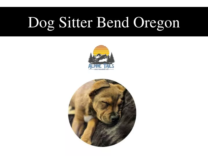 dog sitter bend oregon