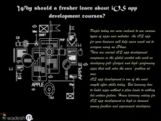 why should a fresher learn about