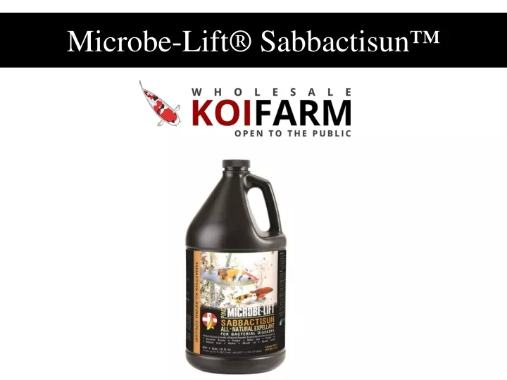 microbe lift sabbactisun