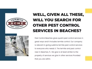 Well, Given All These, Will You Search For Other Pest Control Services in Beaches
