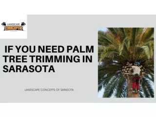 If You Need Palm Tree Trimming in Sarasota