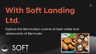 Relocation Experience in Bermuda with Soft Landing Ltd.