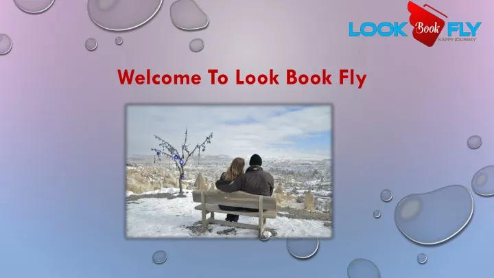 welcome to look book fly