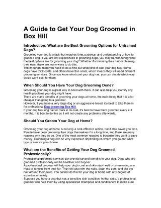 a guide to get your dog groomed in box hill
