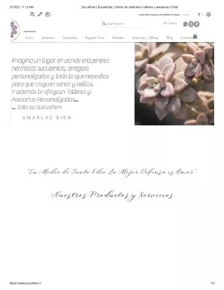 Succulents, Arrangements, and Souvenirs