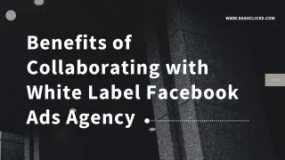 Benefits of Collaborating with White Label Facebook Ads Agency